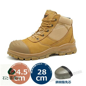 Y SC Y nCJbg  SC nCJbg vC SC Y SC SCꃁY ƌC AEghA oRC SC nCJbg ʋC  