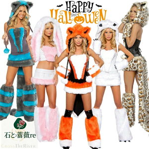  nEB l  ߑ fB[X ETM Lcl nEB ߑ  킢 L RXv Zbg qE  ETM Xq ϑ Ȃ肫 ˂   RXv