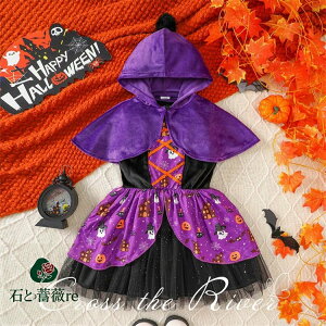 nEB  w nEB ߑ ̎q q  s[X }g 2_Zbg ڂᕿ p[v hX t[ht 낢  LbY RX`[ RXv nEB