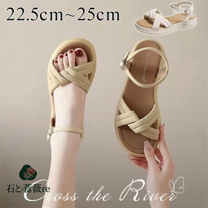 ȂT_ fB[X  XgCv ɂȂ T_ fB[X RtH[gT_ Vv X|[cT_ y ȂC ʊw w ăV[Y ItBX ʋC ʋ 