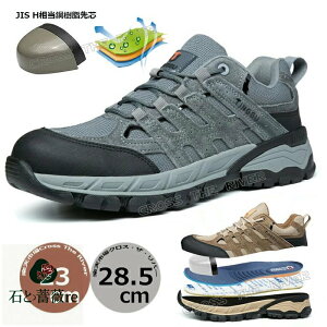 SC Y  [Jbg ʋC SC ʋCQ SC   Xj[J[Y Xj[J[ SC fB[X 23.5 c  ƌC ʋC  |c Ռz A