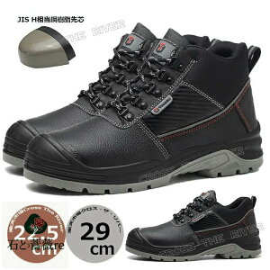 Y SC nCJbg h 傫 SC [Jbg [N} SC fB[X y 22.5cm 23.5cm Ȃ y ɂ nCJbg SC fB[X  ƌC |