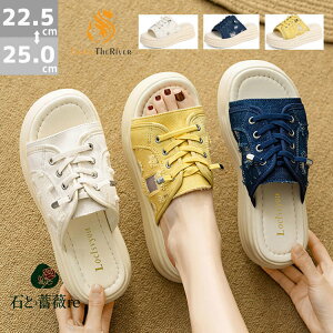 r[`T_ fB[X Xbp T_  ȂT_ fB[X T_ fB[X X|[cT_ fB[X ₷ q[ d C Ȃ 