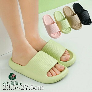 V[T_ fB[X Xbp Y 3cm ItBX 킢   V[ T_ oXT_ x_ T_ v[ Xbp  ~ y 􂦂 \