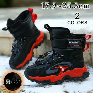 Xm[u[c LbY XpCN ~C j̎q Ȃ g V[gu[c {A  kC {Au[c WjA EC^[u[c N h h w ₷ q V[Y 