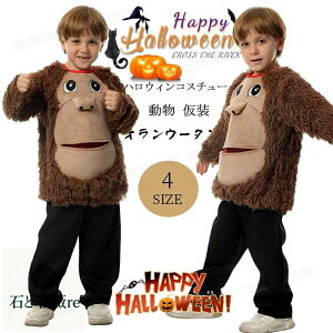 nEB ߑ q  IE[^   RXv ߑ ̎q j̎q  qg   nEB LbY RX`[ ߑ w WjA  nEB[ 