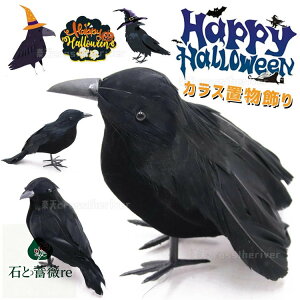 nEB[pi u JX G   Be  ߋ ΂ d|  nEB  p[eB[  ObY v[g ~ w  Ǐ i 