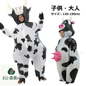 RXv nEB 傫TCY Y l nEB RXv fB[X nEB  l ȒP l nEB ߑ  Ct[^uRX`[  ʔ 