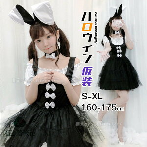 nEB  l  RXv Ch oj[K[ ubN  WjA fB[X nEB[ߑ RX`[ l P s[X ZNV[  ϑ 3_Zbg ETM 