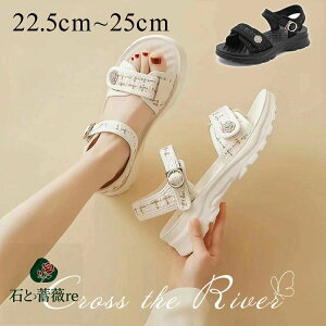 ȂT_ fB[X  X|[cT_ X|[cT_ fB[X ꂢ ʊw C Ȃ ₷ Xj[J[ T_ NbV ăV[Y ̎q w Rt