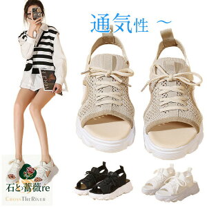 ȂT_ fB[X bVT_ ʋC T_ fB[X Ȃ X|[cT_ V[Y q[ 3cm d C  Ȃ T_ T_Xj[