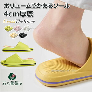 G V[T_ Y  Xbp fB[X V[T_ fB[X XChT_ Y ėp 􂦂 [V[Y p P \h y \tg R h