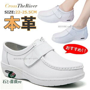 i[XV[Y ɂ  GA[  É {v v d ȂC Xj[J[ ɂ Xb| xN D Ōt  ƌC NbV É y ȂC 