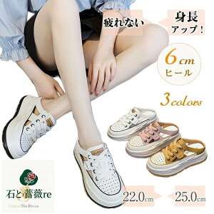 ȂT_ fB[X ƂȂ T_ fB[X Ȃ ꂢ T_Xj[J[ fB[XT_ Ȃ V[Y ɂȂ X|[cT_ q[ 6cm 