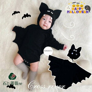 nEB 1 2 RE nEB xr[ nEB  q nEB RXv     p[X xr[  t[ht  xr[ Ԃ p[