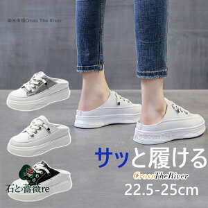 ƂȂ Xj[J[ fB[X   ۖL C\[ 4cm      ₷ ₷ ɂ y y u₩ RtH[g JWA 20 30