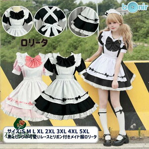 s[X t Ã A[Jo[ B^ hX NVbN Ch SX ChJtF Z[[ݕ g ubN zCg sN 킢 GKg [X Gn t