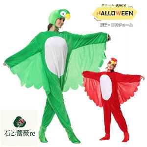 nEBߑ lp J[gD[ Ä IE RX`[ p[eB[p bhpbg O[pbg p[X  䉉o w|  ߑ \ w C