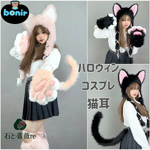 L Xq L nEB RXv ANZT[ sN ubN ӂӂ Lߑ Zbg p[eB[RX`[ LRX`[  LRX`[ є烌bOEH[}