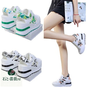 T_ fB[X T_ vbgtH[V[Y nCq[8cm X|[cT_ r[`T_ T_ ~[ fB[XT_ ؂ C V[Y AEghA