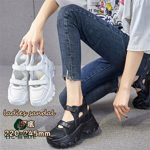 T_ fB[X T_ Cq[ vbgtH[V[Y nCq[8cm X|[cT_ ~[ Xj[J[ {v C V[Y ₷ ʋC ČC ʋ  30