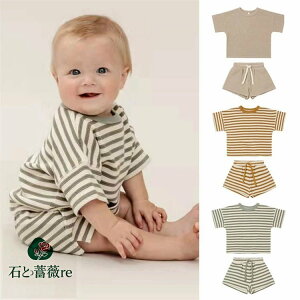 xr[ ZbgAbv ̎q j̎q ĕ  Ԃ Y{ xr[ ㉺Zbg  oYj v[g ؍q 73/80/90/100cm