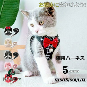 Lp n[lX L  U o ȒP qbR[  킢 {