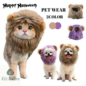 ybg    nEB RXv ybgp CI ʔ 킢  ybg RX`[ q  ʐ^ L  ybgpi v[g Mtg p[eB[ hallowee  S 