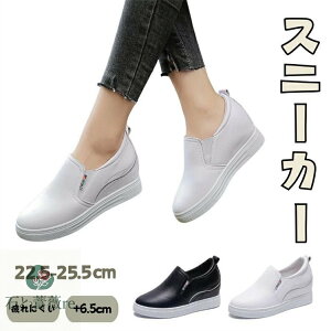 Xj[J[ fB[X    C Ȃ Xb| C\[3cm EH[LOV[Y puU[ Vv  EFbW V[Y Xj[J[ vbgtH[V[Y 