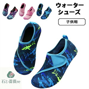 }V[Y q y p EH[^[V[Y xr[ LbY j̎q ̎q r[`V[Y ANAV[Y WjA h  _CrO j s EH[^[ g[XV[