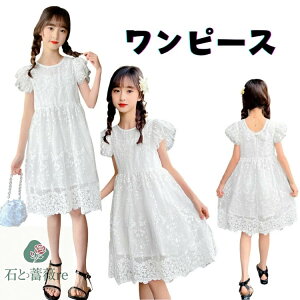 s[X  ̎q   q [X    n p[eB[ ėp s[X Pn G w ʊw ؍   T}[ 120 130 140 150 160