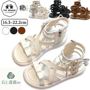 qC qT_ ̎q qp T_u[c [}u[c LbY t  LbYV[Y AEghA ʋC { 킢 ɂ _炩 ₷ LbYT_ 