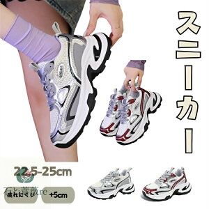 Xj[J[ fB[X Vo[ C  Xj[J[ C EH[LOV[Y 5Z` _bhXj[J[ ꂢ  ₷ Xj[J[ ʊw ؍ _CGbgXj[J