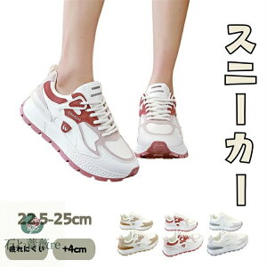 ؍ _bhXj[J[ fB[X Xj[J[ C Ȃ_bhV[Y C h \[4cm  Xj[J[ EH[LOV[Y ʋ ʊw JWA  r ₷