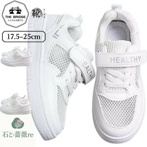 wXj[J[ Xj[J[ C j̎q ̎q qC Ȃ X|[cV[Y Xj[J[  C r ₷ ʋC ^C w w Xj[J[  V[Y Vv