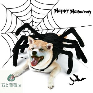 ybg nEB RXv XpC_[X[c ybgp L  RX`[  ʔ nEB ߑ  킢 q ybgpi Mtg v[g p[eB[ 