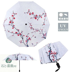 JP fB[X P JP 8{  nG ~̉ RpNg gѕ֗ P fB[X ϕ  ܂肽ݎP JpP UVJbg OՒf P ܏P Ռ Wv J