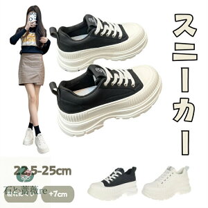 Xj[J[ fB[X   _bhXj[J[  V[Y _bhV[Y EH[LOV[Y 킢 C r gAbv Vv  R[gXj[J[ ʊw ₷