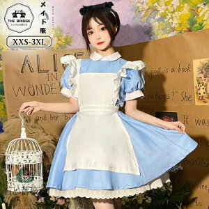 Ch AX nEB ptX[u s[X   傫TCY RXv t Lolita ChJtF nEBߑ I K[[ Ch    iX w 