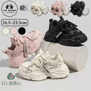  x[W sN Xj[J[ LbY WjAV[Y ̎q j̎q V[Y C ^C w w AEghA ʋC qǂ LbYV[Y y ^C ʊw q qC j