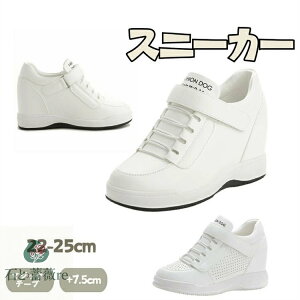  }WbNe[v V[Y fB[X Xj[J[ Ȃ C\[4cm Xj[J[  EFbW Vv vbgtH[V[Y r Ȃ V[Y ₷ 