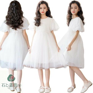 x[W s[X sAm \ p[eB[ `[ Pn n XpR[ LL ۂ s[X ̎q  ptX[u tH[} hX w  킢 