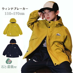  EBhu[J[ LbY h h AEghA EBhu[J[ j̎q oR Lv WPbg q }Eep[J[ {[CY h t H VFWPbg  100