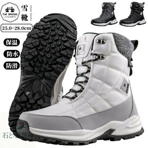 Xm[u[c Y h h kC g   DF {Au[c h Xm[V[Y  N C Ȃ l ʋ V Xm[u[c Ȃ s hu[c ~ X