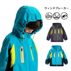 EBhu[J[ LbY y h h q ̎q j̎q EBhu[J[ oR Lv  AEghAWPbg LbY t H }Eep[J[  100 110 120 130 140 15