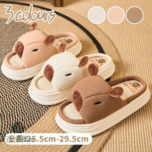 Xbp p ėpXbp tp ėp  [V[Y  Jbv w  fB[X Y l ăXbp ꂢ 􂦂 yA ~ [T_ 