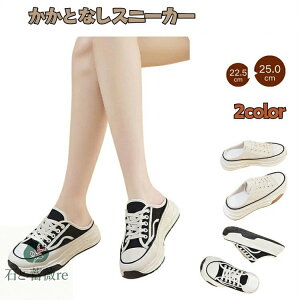 V[Y fB[X x[W  LoX Xj[J[ ƂȂ T{T_ T_ ʋC wlC T{ T_ Xb| EȒP ₷ T{ Xj[J[ Xj[