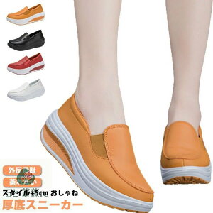 Xj[J[fB[X_bhXj[J[؍EH[LOV[YyʖhCq[Xj[J[傫TCY5cmCDꂫꂢ߂킢C₷V[Y