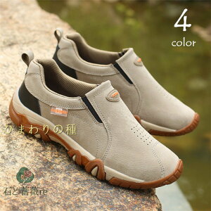 XG[hV[YYXj[J[CYCJWAV[YY[JbgamC₷Xb|YXj[J[JVYfbLV[YoRC傫TCYgb