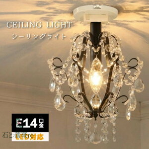 yVioIzV[OCg tX 25cm E14 VfA NVbN [sA }eBbN p S[WX  V[Ot ȒPt  킢 ledΉ 1 